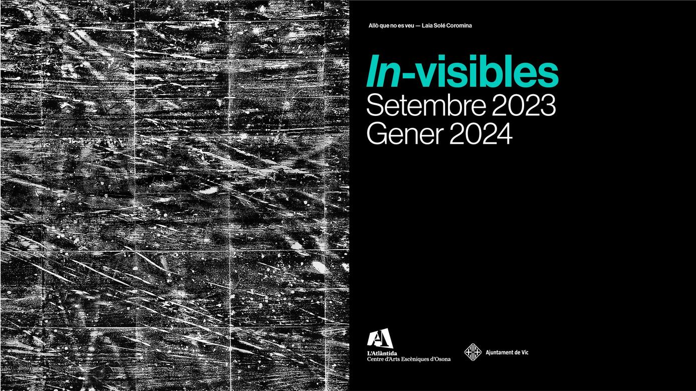in-visibles